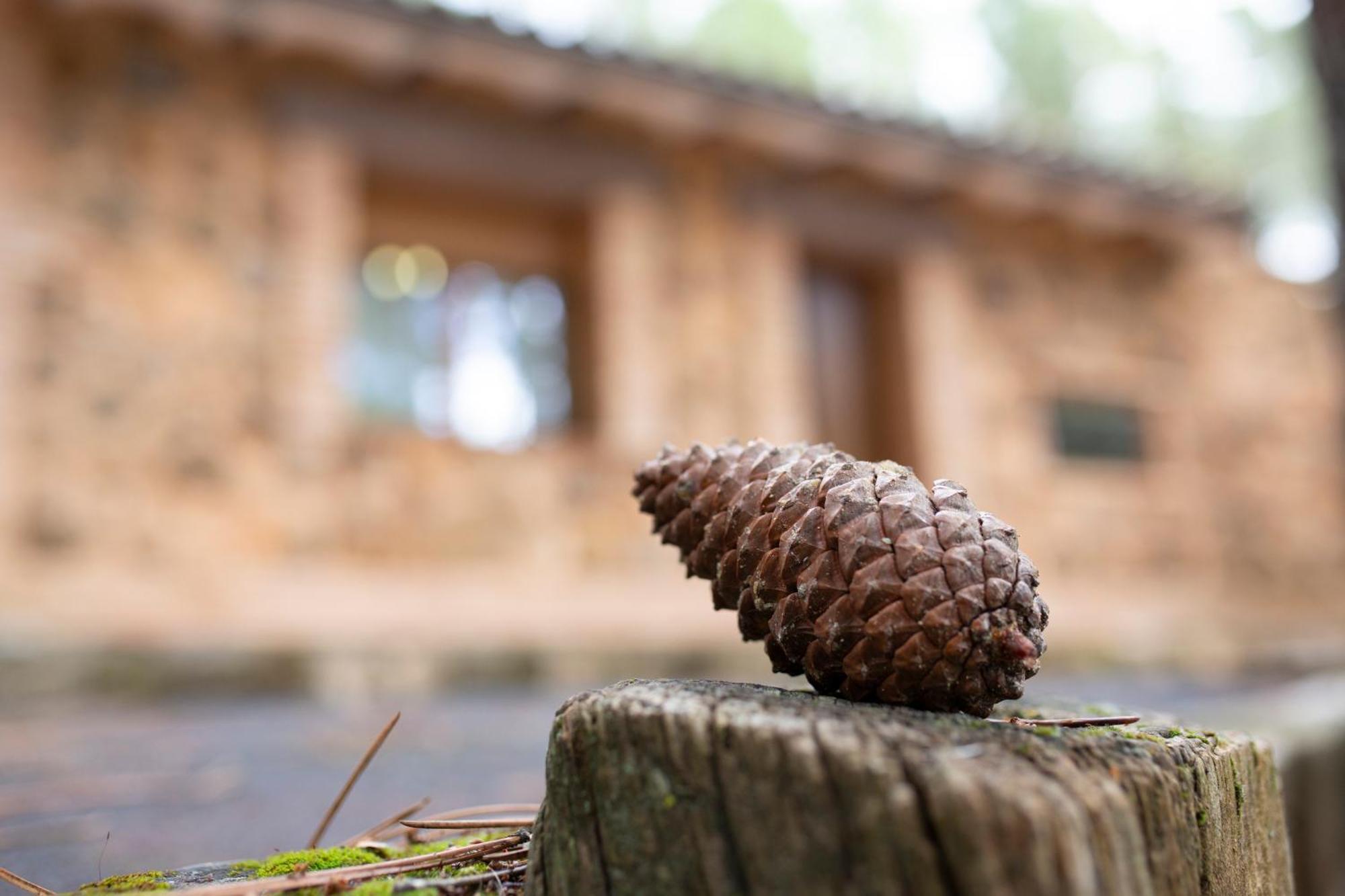 Casa Rural Riopar, Luxury In Nature Exterior foto